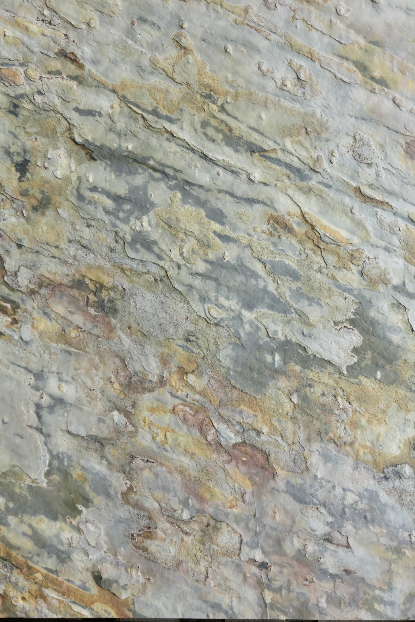 Cladrok Autumn Gold Stone Wall Panel 2400 x 1200 x 10 mm